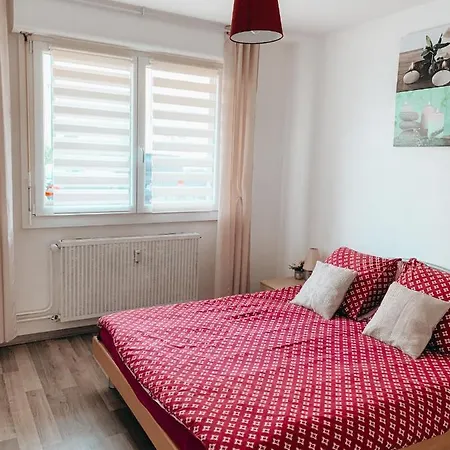 Premium Basel Airport 50m2 Apartment Saint-Louis (Haut-Rhin)