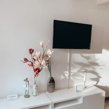 Apartment Premium Basel Airport 50m2