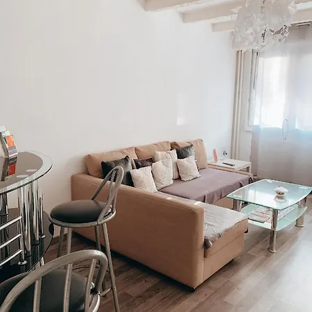 Premium Basel Airport 50m2 Apartment