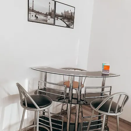 Apartment Premium Basel Airport 50m2 *