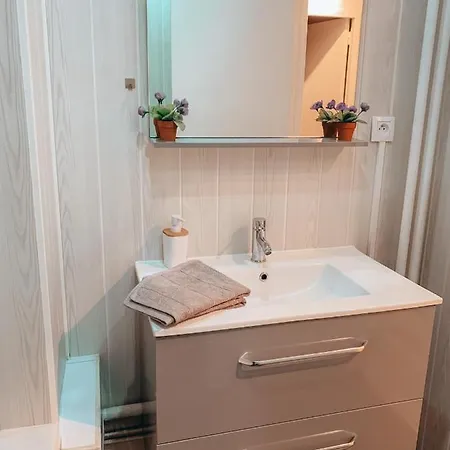 Apartment Premium Basel Airport 50m2 *